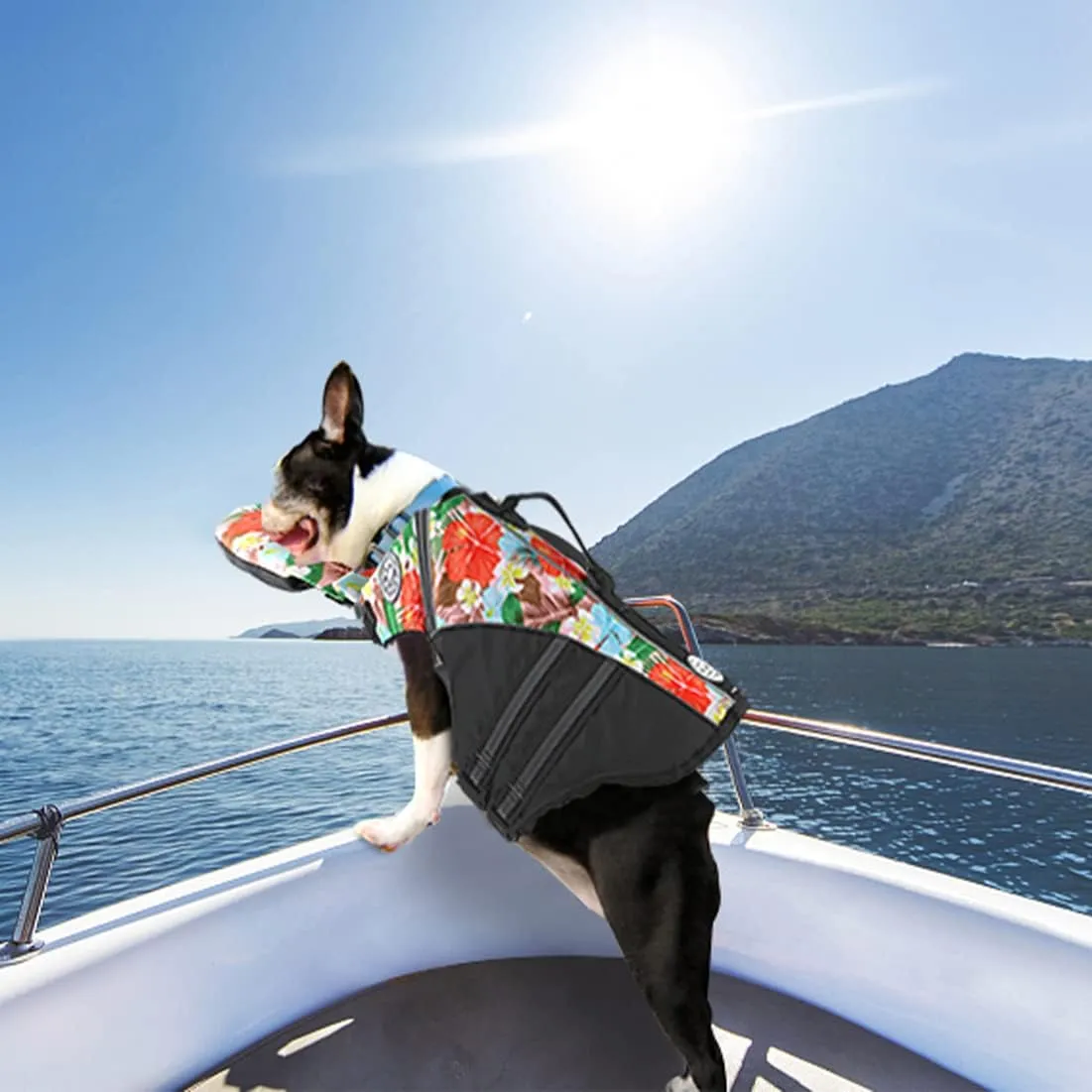 Dog Life Jacket, Reflective Dog Life Vest with Removable Neck Float High Buoyancy for Swimming and Boating, Ripstop Pet Safety Swimsuit Rescue Handle for Small Medium Large Dogs
