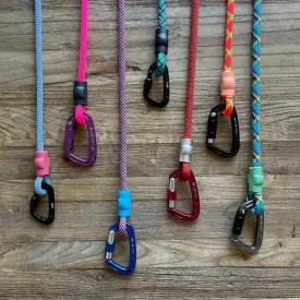 Locking Carabiners