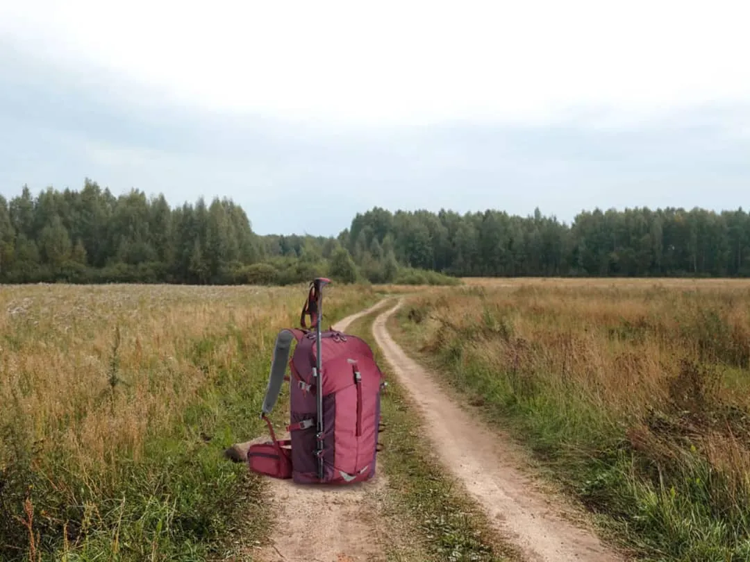 The Baguma 25L hiking backpack-purple